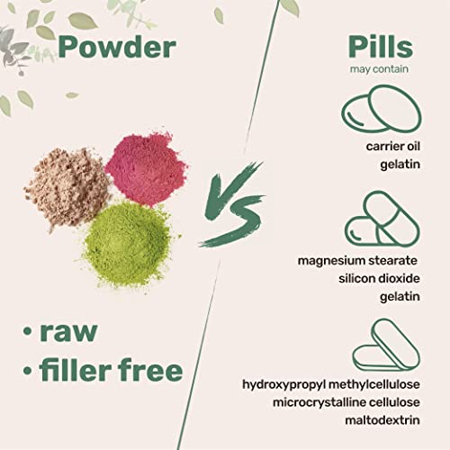 Sustainably US Grown, Organic Mega Mushroom 10 in 1 Complex Formula Powder Micro IngredientsBuy Supplements Australia