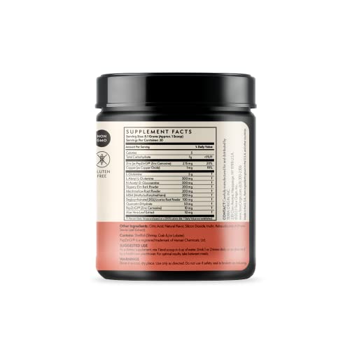 TERRA ORIGIN Healthy Gut Watermelon | 30-Servings with L-Glutamine, Zinc TERRA ORIGINBuy Supplements Australia