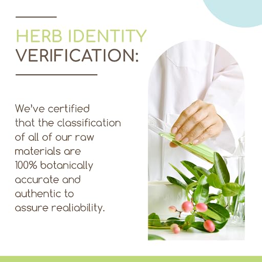 Barberry Root B120 Alcohol-Free Herbal Extract Tincture, Concentrated Liquid Drops Natural Barberry HerbEraBuy Supplements Australia