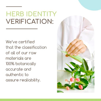 Barberry Root B120 Alcohol-Free Herbal Extract Tincture, Concentrated Liquid Drops Natural Barberry HerbEraBuy Supplements Australia