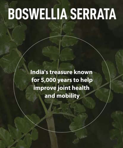 FromBIO for Joints Health and Cartilage, Boswellia, 1,000mg of Boswellia and 71mg of AKBA & KBA FromBIOBuy Supplements Australia
