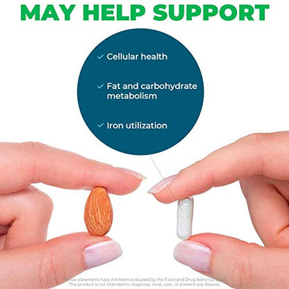 Seeking Health Molybdenum 500, Molybdenum Glycinate Chelate Supplement Seeking HealthBuy Supplements Australia