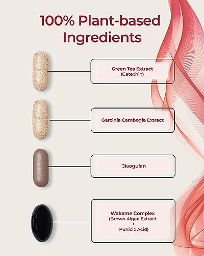 FOODOLOGY Burningology D-Day (Pack of 1, 10 Days) - Jiaogulan, Wakame Complex, Green Tea Extract FOODOLOGYBuy Supplements Australia