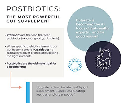 BodyBio Butyrate with Calcium & Magnesium - Supports Healthy Digestion, Gut & Microbiome BodyBioBuy Supplements Australia