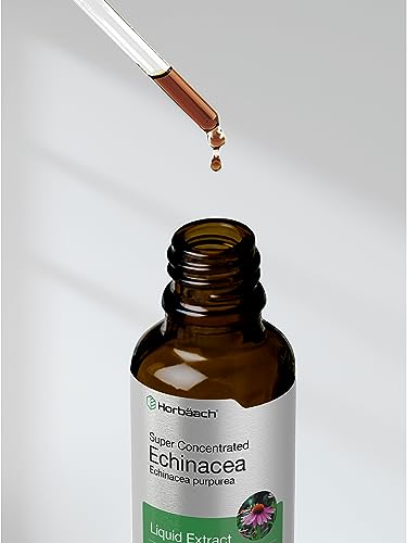 Echinacea Drops Liquid Extract | 2 fl oz | Super Concentrated Tincture | Alcohol Free HorbäachBuy Supplements Australia