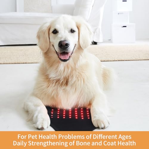 SUNNYOUNG Red Light Therapy Belt, Infrared Light Therapy Wrap Muscle Relaxing Belt with 120 LED Lights sunnyoungBuy Supplements Australia