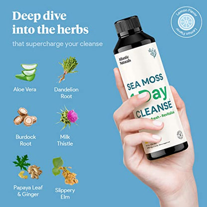Sea Moss 1 Day Cleanse - Full Body Detox to support bowel movements, Kidney Health Atlantic NaturalsBuy Supplements Australia