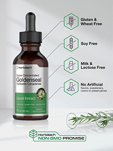 Goldenseal Root Extract Liquid | 1 fl oz Tincture | Super Concentrated | Alcohol Free HorbäachBuy Supplements Australia