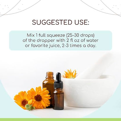 Blue Vervain B120 Alcohol-Free Herbal Extract Tincture, Concentrated Liquid Drops Natural Blue Vervain HerbEraBuy Supplements Australia