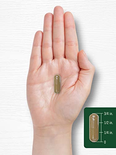 Carlyle Dandelion Root Capsules 1800mg | 300 Count | Non-GMO, Gluten Free CarlyleBuy Supplements Australia