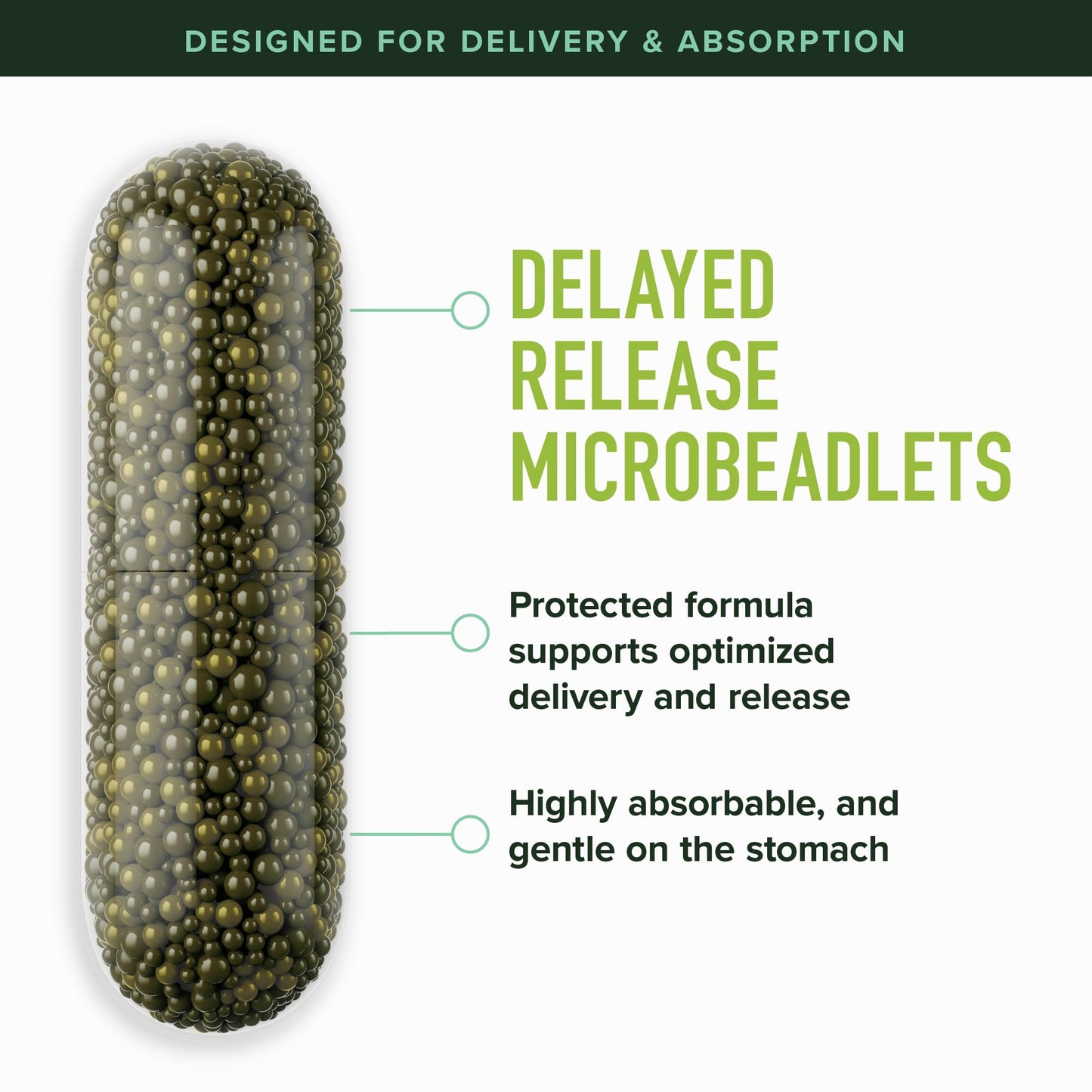 50MG Sulforaphane Supplement from Broccoli Sprouts | NRF2 Activation, Cellular Health & Immune Support | Glucoraphanin, Myrosinase & Antioxidants | Third-Party Tested - Maple Wellness Supplements