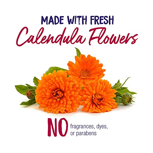 Boiron Calendula Cream for First Aid, Minor Burns, Cuts, Scrapes, Insect Bits and Sunburn - 2.5 oz BoironBuy Supplements Australia
