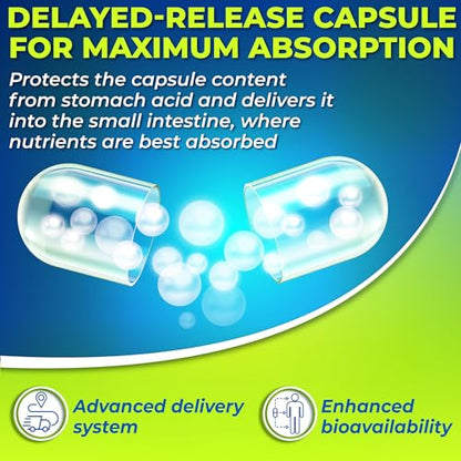 Probiotics with Digestive Enzymes and Prebiotic for Women and Men - 3-In-1 Vegan Probiotic SUPPLEMENTS STUDIOBuy Supplements Australia