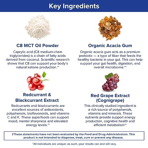 Gundry MD MCT Wellness Powder to Support Energy, Ketone Production and Brain Health Gundry MDBuy Supplements Australia