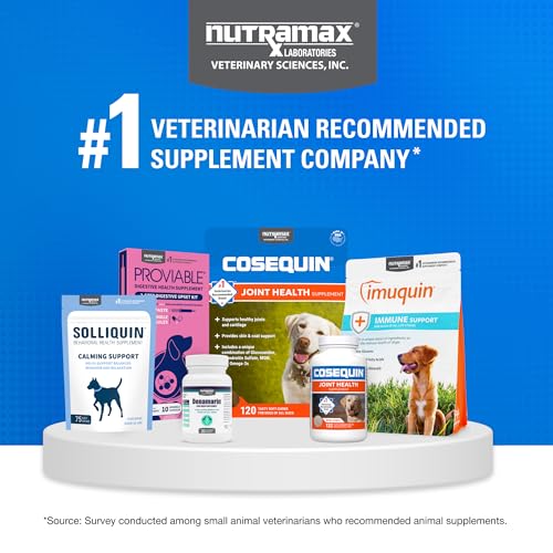 Nutramax Cosequin for Dogs Joint Health Supplement, Contains Glucosamine, Plus Chondroitin, MSM and Omega-3s, Supports Joint and Skin and Coat Health, Soft Chews, 120 Count Nutramax LaboratoriesBuy Supplements Australia