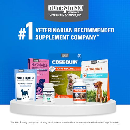 Nutramax Cosequin for Dogs Joint Health Supplement, Contains Glucosamine for Dogs, Chondroitin, MSM and Omega-3s, Supports Joint and Skin and Coat Health, Soft Chews, 60 Count Nutramax LaboratoriesBuy Supplements Australia