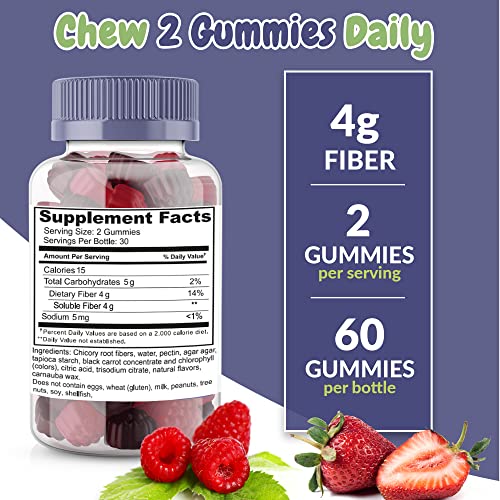 Fiber Prebiotic Gummies Sugar Free, Keto Friendly 2 Pack | Gut Cleansing, Digestive Health Health SuppliedBuy Supplements Australia