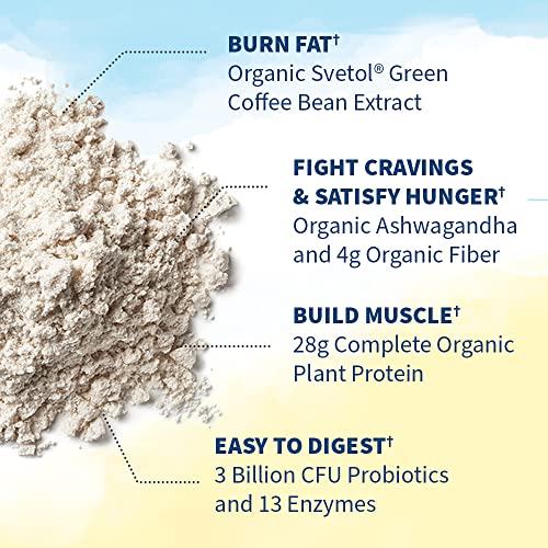 Garden of Life Raw Organic Fit Vegan Protein Powder Vanilla, 28g Plant Based Protein Garden of LifeBuy Supplements Australia