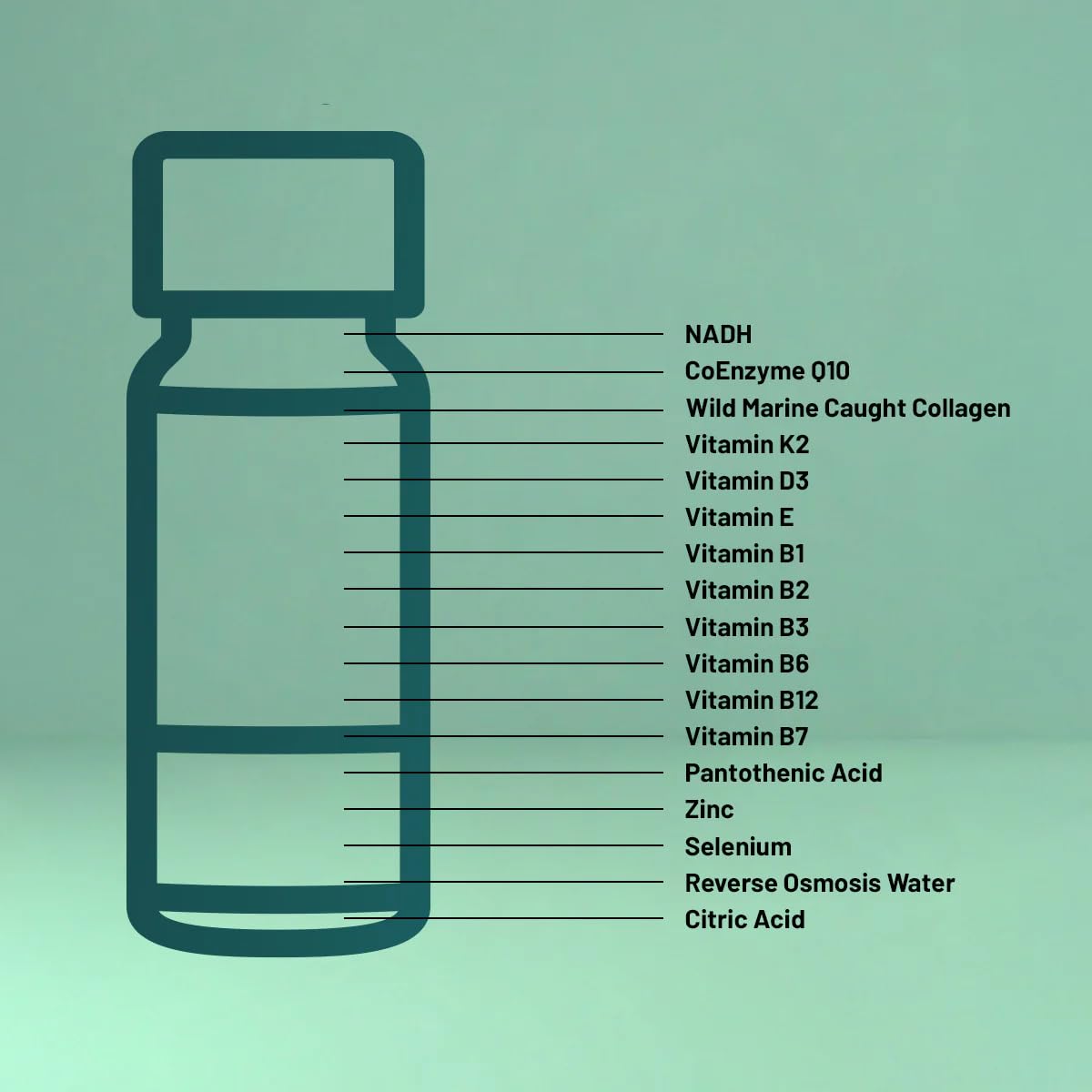 Strong Cell | Cellular Function Booster Liquid | NADH, CoQ10, Collagen. 90+% Absorption Rate. Vitamins B1, B2, B3, B6, B7, and B12. Vitamin K2 | 30 Count. WelluraBuy Supplements Australia