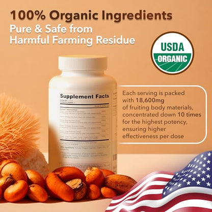 USDA Organic Lions Mane Supplement Capsules with Ashwagandha, Chaga, Reishi, Cordyceps Etta VitaBuy Supplements Australia