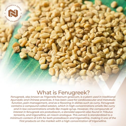 Nootropics Depot Fenugreek Extract Capsules | 500mg | 60 ct | 2.5% Trigonelline Nootropics DepotBuy Supplements Australia