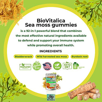 Sea Moss Gummies - Irish sea Moss raw Organic, Bladderwrack, Burdock Root BIO VITALICABuy Supplements Australia