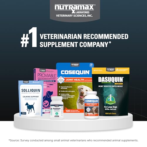 Nutramax Dasuquin for Small to Medium Dogs, Joint Health Supplement, Contains Glucosamine for Dogs, Plus Chondroitin, ASU, MSM and More, Supports Healthy Joints, Chewable Tablets, 150 Count Nutramax LaboratoriesBuy Supplements Australia