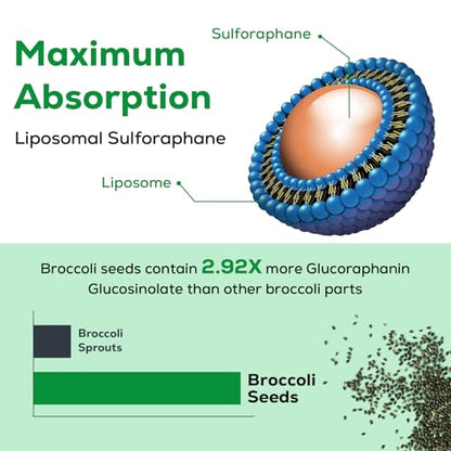 Osasuna Liposomal Sulforaphane 450MG, Maximum Absorption, 360 Softge