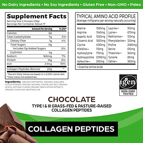Orgain Hydrolyzed Collagen Powder, 20g Grass Fed Collagen Peptides, Chocolate OrgainBuy Supplements Australia