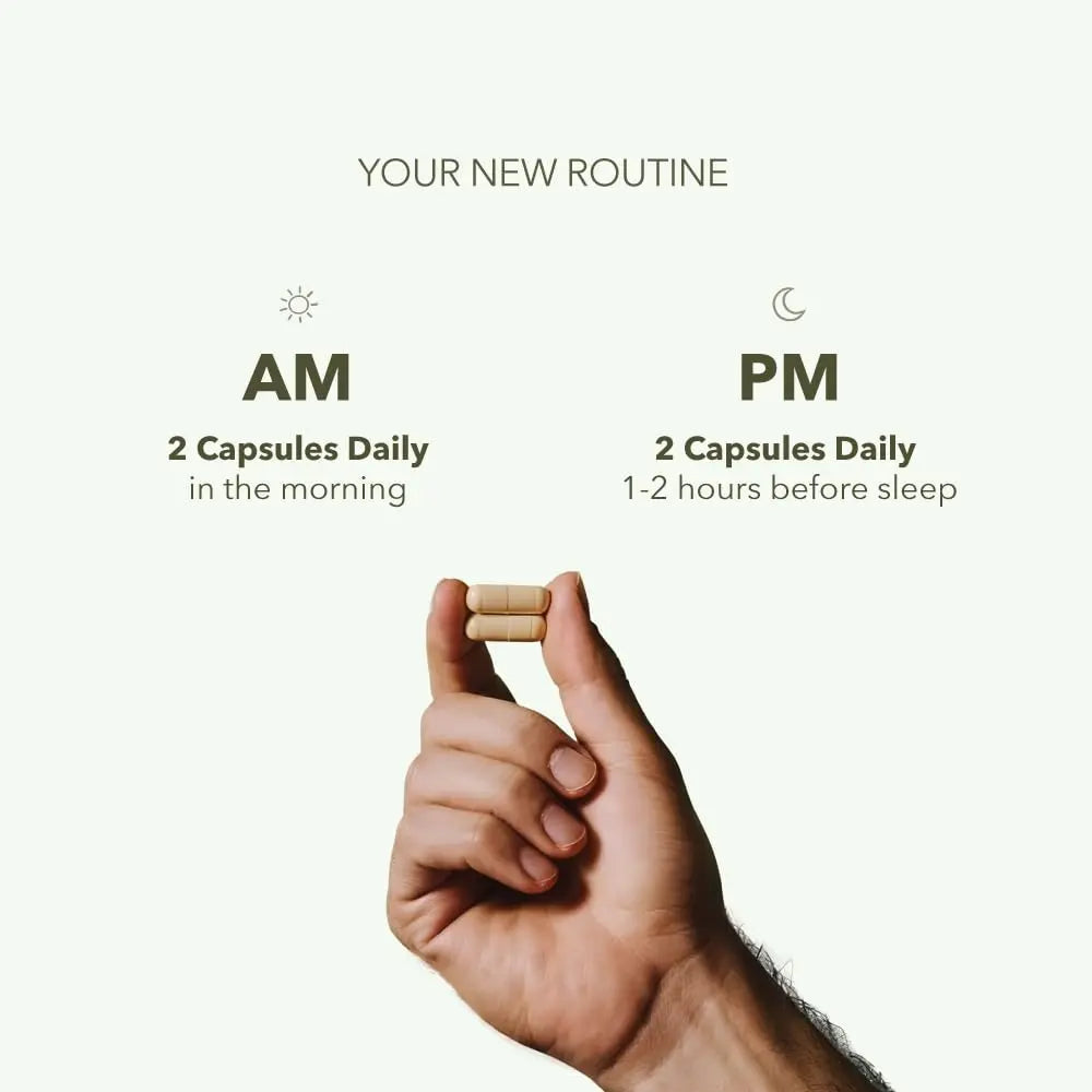 CASIDOR - Dominus MULTIVITAMINS for Men + Performance Formula | AM + PM | – 30 Days Serving | Energy, Performance, Recovery & Sleep CASIDORBuy Supplements Australia