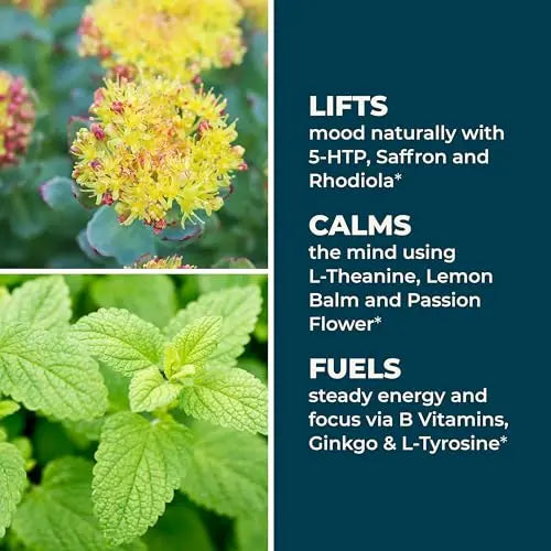 LifeSeasons - Mood Stabili-T - Positive Mood Booster - Enhanced Calmness and Happiness - Relaxed and Balanced Mind LifeSeasonsBuy Supplements Australia