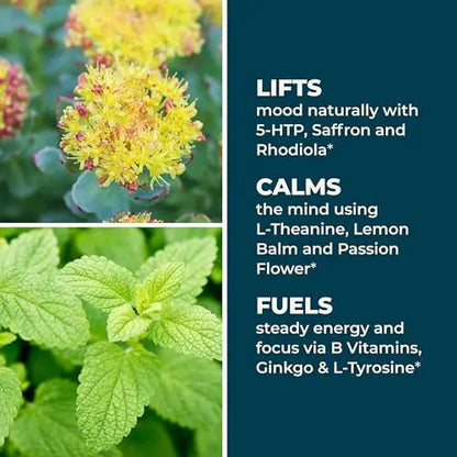 LifeSeasons - Mood Stabili-T - Positive Mood Booster - Enhanced Calmness and Happiness - Relaxed and Balanced Mind LifeSeasonsBuy Supplements Australia