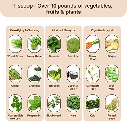 Detox Organics Chocolate Superfood Powder, Detox Cleanse for your Body, Bloating Relief Detox OrganicsBuy Supplements Australia