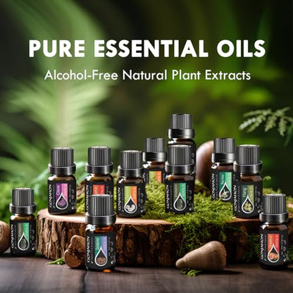 KMSCO Essential Oils Set -Top 16(0.33Fl Oz) Organic Plant Natural Fragrance Scents Blends Oil KMSCOBuy Supplements Australia