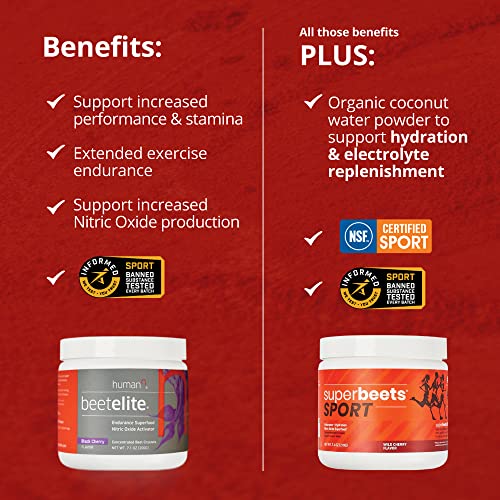 humanN SuperBeets Sport Pre Workout Powder – NSF Certified for Sport – Caffeine Free humanNBuy Supplements Australia