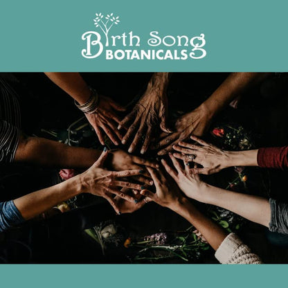 Birth Song Botanicals Fertile Ground Fertility Liquid Tincture, Herbal Supplement to Help Regulate Birth Song BotanicalsBuy Supplements Australia