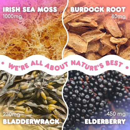 Biolore Sea Moss Gummies with Elderberry, Contains Irish Sea Moss, Organic Extract BioloreBuy Supplements Australia