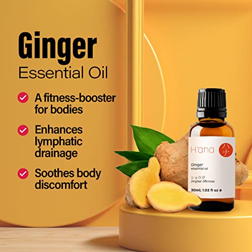 H’ana Pure Ginger Oil for Belly Fat & Pain - 100% Natural Therapeutic Grade Ginger Essentia H'anaBuy Supplements Australia