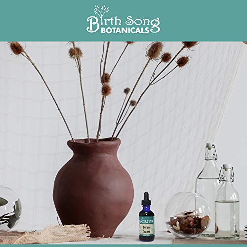 Birth Song Botanicals Fertile Ground Fertility Liquid Tincture, Herbal Supplement to Help Regulate Birth Song BotanicalsBuy Supplements Australia