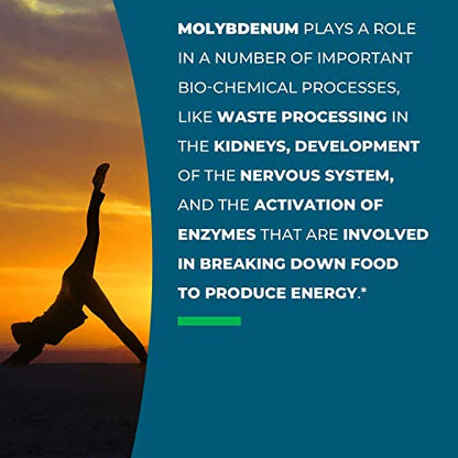 Seeking Health Molybdenum 500, Molybdenum Glycinate Chelate Supplement Seeking HealthBuy Supplements Australia