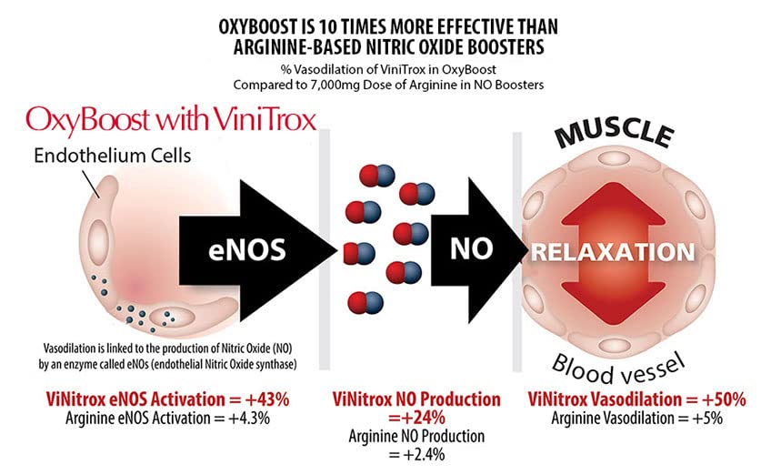 OxyBoost with ViNitrox - Nitric Oxide Supplement for Blood Pressure Support, Heart Health, Energy Boost, Circulation, and More (3 Bottles - 90 Servings)
