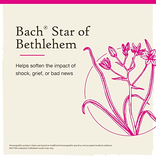 Bach Original Flower Remedies, Star of Bethlehem for Grief and Shock (Non-Alcohol Formula) BachBuy Supplements Australia