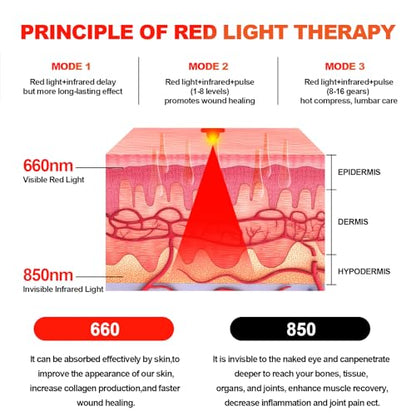 Red Light Therapy Belt Vibrating for Muscle Recovery and Pain Relief DYUFBuy Supplements Australia