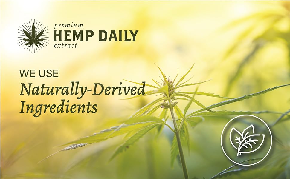 Hemp Daily Active Spray | Hemp Spray with Essential Oils | Vegan, Organic Ingredients | 2 Fluid Ounces (Original Spray, Single) Premium Hemp Extract DailyBuy Supplements Australia