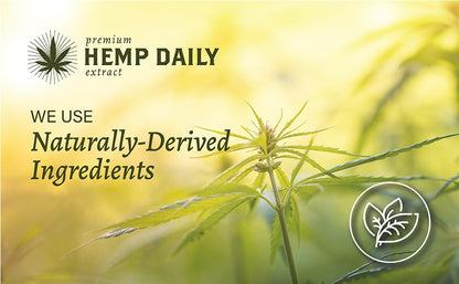 Hemp Daily Active Spray | Hemp Spray with Essential Oils | Vegan, Organic Ingredients | 2 Fluid Ounces (Original Spray, Single) Premium Hemp Extract DailyBuy Supplements Australia