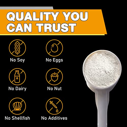 Rep N Roll Micronized Creatine Powder, 45 Serv., Creatine Monohydrate 5000 MG Rep N RollBuy Supplements Australia