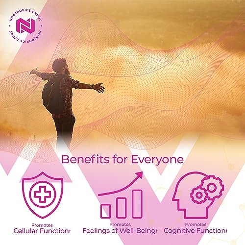 Nootropics Depot Berberine HCL + Silymarin Capsules | 500mg + 90mg | 180 Count Nootropics DepotBuy Supplements Australia