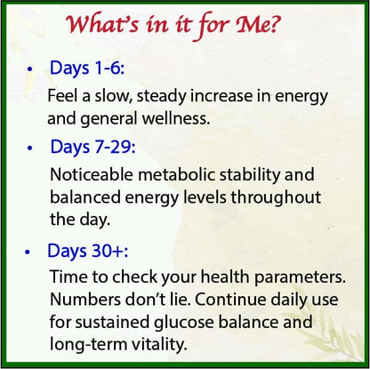 Bodymune USDA Organic Blood Sugar Blend | Supports Healthy Metabolism* | with Bitter Melon, Moringa, Aloe Vera, Nopal, Papaya Extracts & More | 60-Day Supply | Vegan & Non-GMO | USA-Made BodymuneBuy Supplements Australia