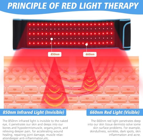 Red Light Therapy Near Infrared Light Therapy Wrap Belt for Body with Timer for Waist Back Shoulder AKYSUNBuy Supplements Australia