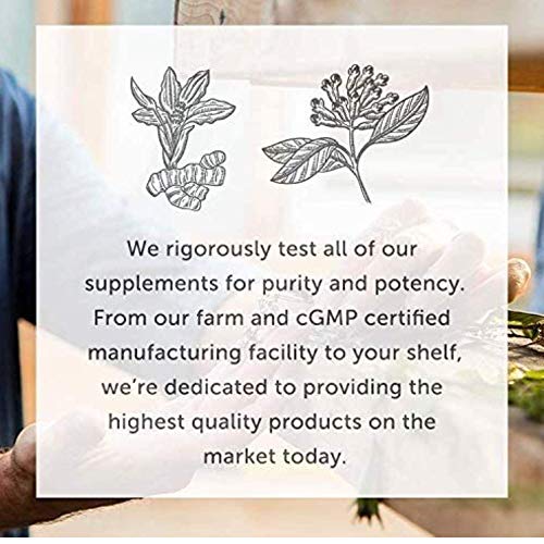 Global Healing Bio-Active Copper Supplement Cu1 - Cuprous Nicotinic Acid Helps Detox Global Healing CenterBuy Supplements Australia